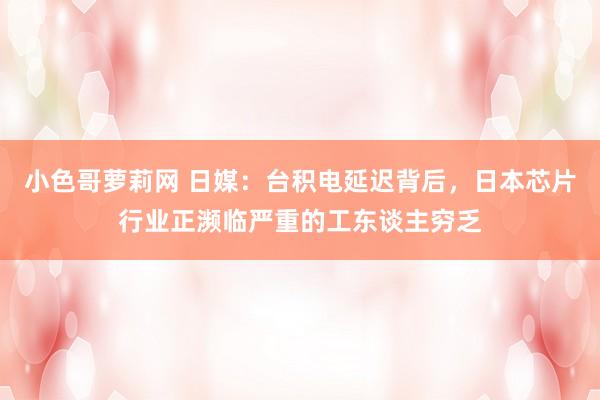 小色哥萝莉网 日媒：台积电延迟背后，日本芯片行业正濒临严重的工东谈主穷乏