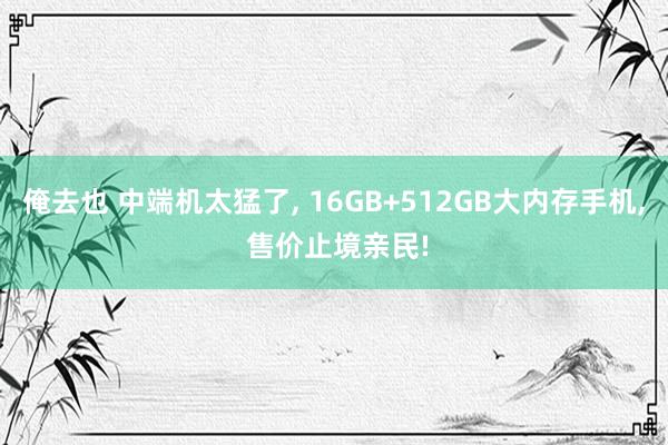 俺去也 中端机太猛了, 16GB+512GB大内存手机, 售价止境亲民!