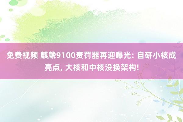 免费视频 麒麟9100责罚器再迎曝光: 自研小核成亮点, 大核和中核没换架构!