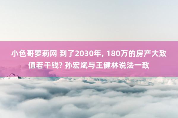 小色哥萝莉网 到了2030年, 180万的房产大致值若干钱? 孙宏斌与王健林说法一致