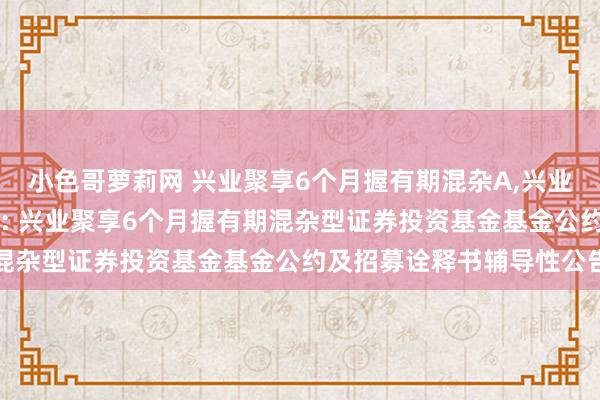 小色哥萝莉网 兴业聚享6个月握有期混杂A,兴业聚享6个月握有期混杂C: 兴业聚享6个月握有期混杂型证券投资基金基金公约及招募诠释书辅导性公告