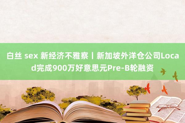 白丝 sex 新经济不雅察丨新加坡外洋仓公司Locad完成900万好意思元Pre-B轮融资