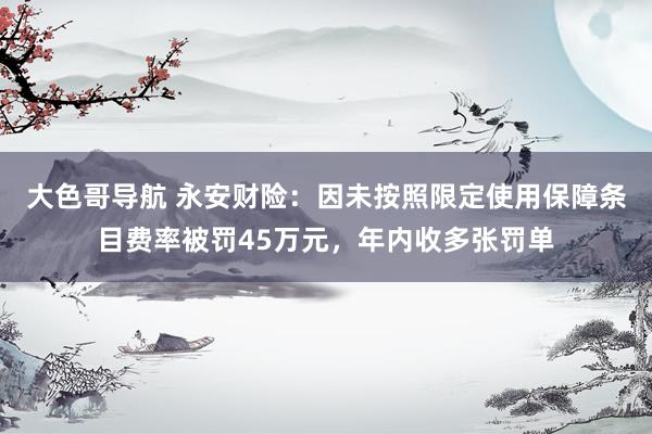 大色哥导航 永安财险：因未按照限定使用保障条目费率被罚45万元，年内收多张罚单