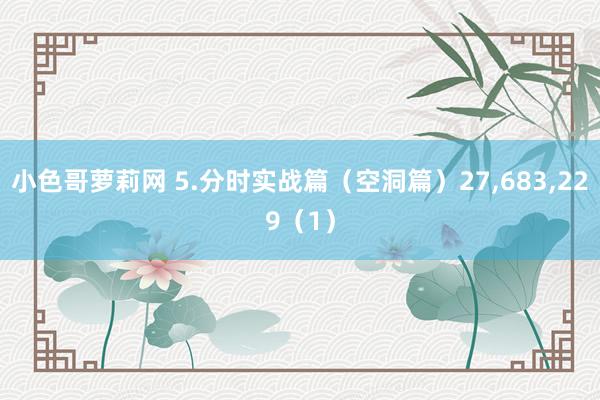 小色哥萝莉网 5.分时实战篇（空洞篇）27,683,229（1）