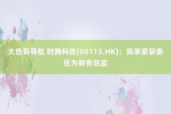 大色哥导航 时腾科技(08113.HK)：陈家豪获委任为财务总监