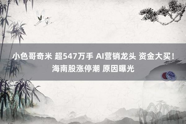 小色哥奇米 超547万手 AI营销龙头 资金大买！海南股涨停潮 原因曝光