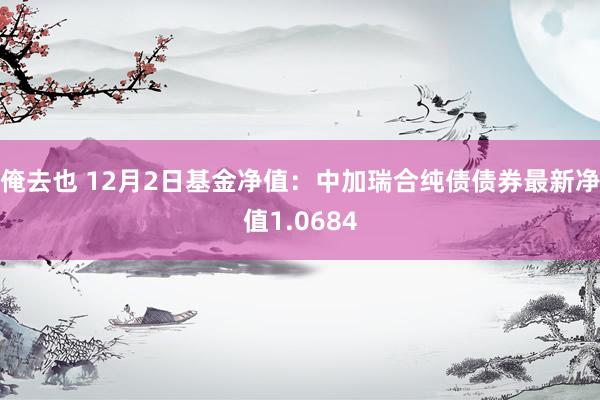 俺去也 12月2日基金净值：中加瑞合纯债债券最新净值1.0684