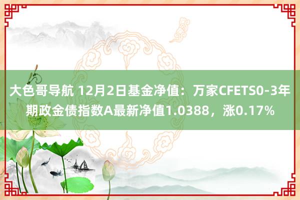 大色哥导航 12月2日基金净值：万家CFETS0-3年期政金债指数A最新净值1.0388，涨0.17%