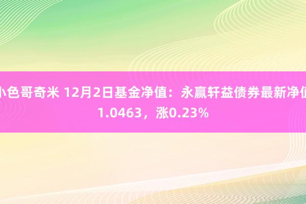 小色哥奇米 12月2日基金净值：永赢轩益债券最新净值1.0463，涨0.23%