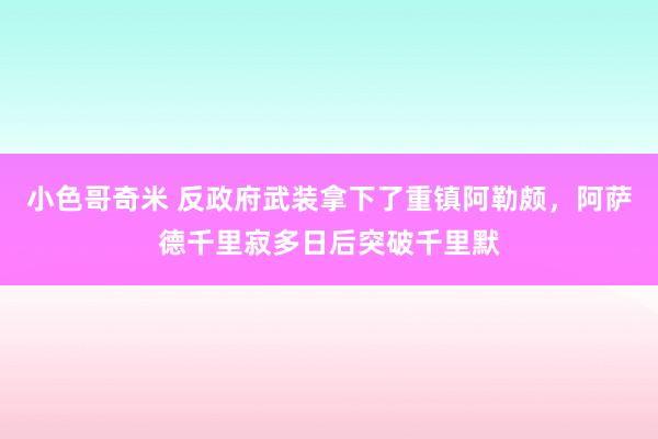 小色哥奇米 反政府武装拿下了重镇阿勒颇，阿萨德千里寂多日后突破千里默