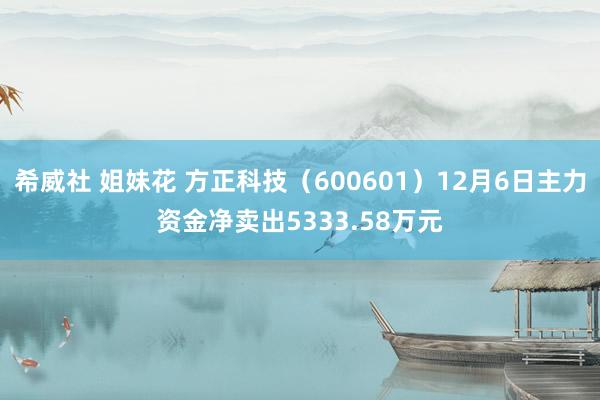 希威社 姐妹花 方正科技（600601）12月6日主力资金净卖出5333.58万元