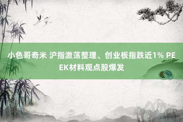 小色哥奇米 沪指激荡整理、创业板指跌近1% PEEK材料观点股爆发
