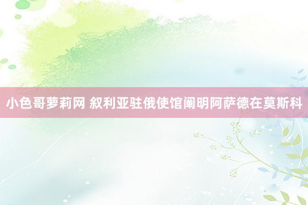 小色哥萝莉网 叙利亚驻俄使馆阐明阿萨德在莫斯科