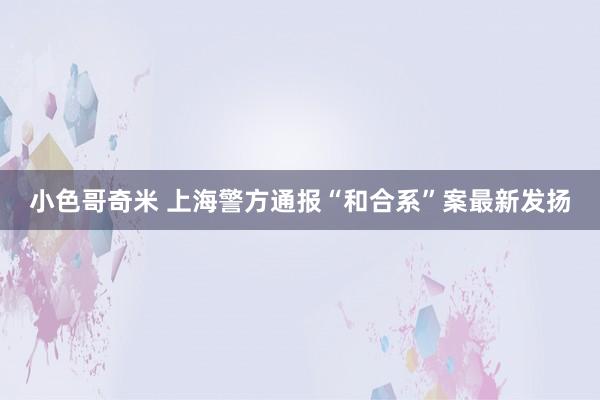 小色哥奇米 上海警方通报“和合系”案最新发扬