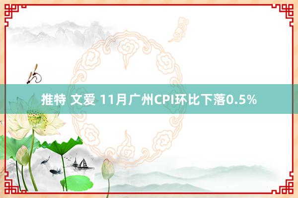推特 文爱 11月广州CPI环比下落0.5%