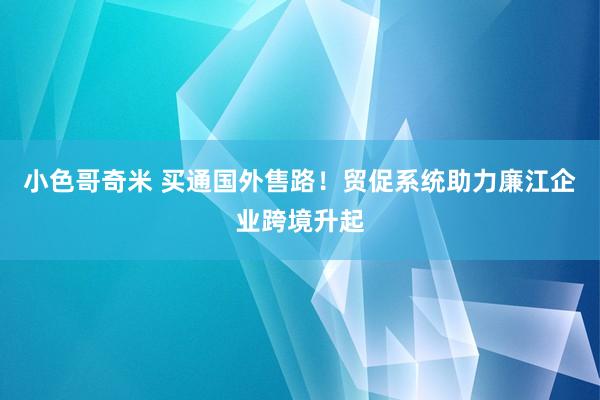 小色哥奇米 买通国外售路！贸促系统助力廉江企业跨境升起