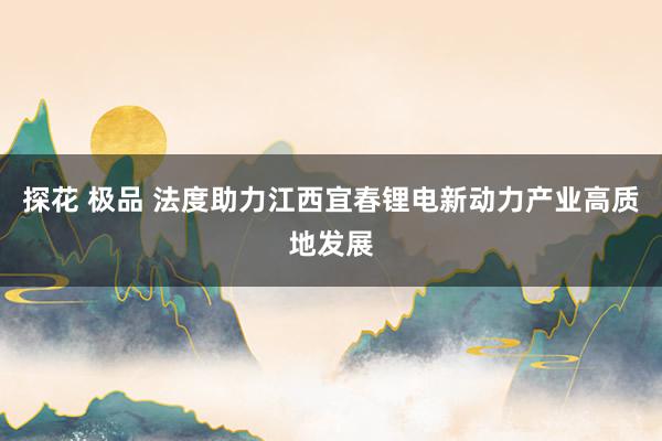 探花 极品 法度助力江西宜春锂电新动力产业高质地发展