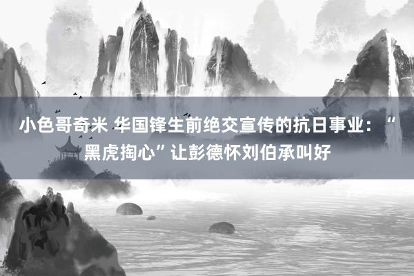 小色哥奇米 华国锋生前绝交宣传的抗日事业：“黑虎掏心”让彭德怀刘伯承叫好