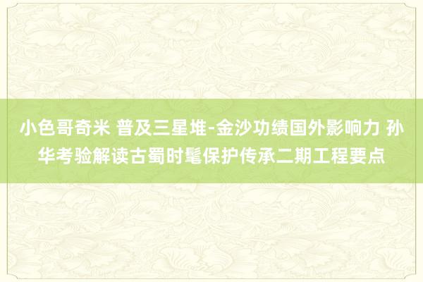 小色哥奇米 普及三星堆-金沙功绩国外影响力 孙华考验解读古蜀时髦保护传承二期工程要点