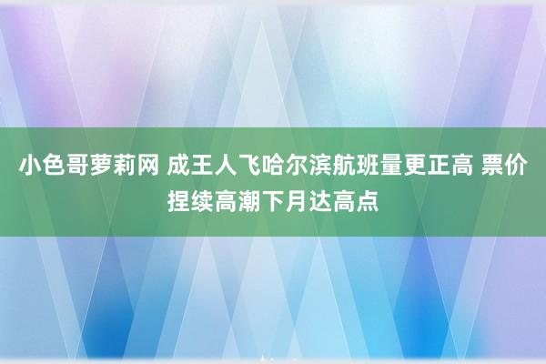 小色哥萝莉网 成王人飞哈尔滨航班量更正高 票价捏续高潮下月达高点