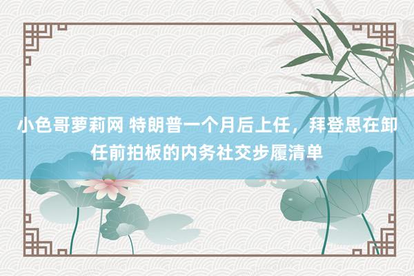 小色哥萝莉网 特朗普一个月后上任，拜登思在卸任前拍板的内务社交步履清单