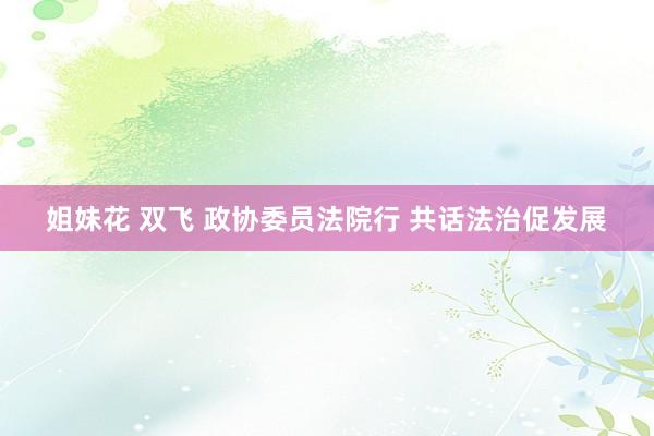 姐妹花 双飞 政协委员法院行 共话法治促发展