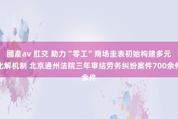 國產av 肛交 助力“零工”商场圭表初始构建多元化解机制 北京通州法院三年审结劳务纠纷案件700余件