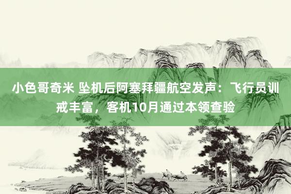 小色哥奇米 坠机后阿塞拜疆航空发声：飞行员训戒丰富，客机10月通过本领查验