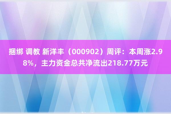 捆绑 调教 新洋丰（000902）周评：本周涨2.98%，主力资金总共净流出218.77万元