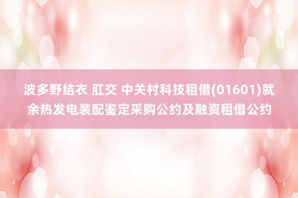 波多野结衣 肛交 中关村科技租借(01601)就余热发电装配鉴定采购公约及融资租借公约