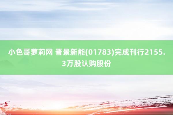 小色哥萝莉网 晋景新能(01783)完成刊行2155.3万股认购股份