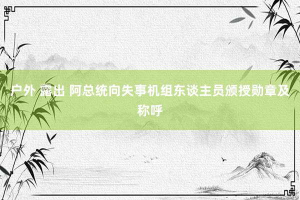 户外 露出 阿总统向失事机组东谈主员颁授勋章及称呼