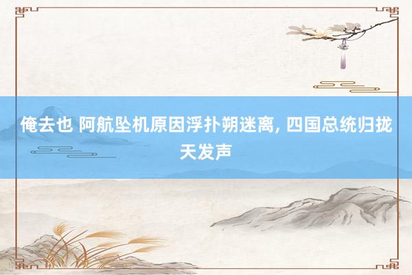 俺去也 阿航坠机原因浮扑朔迷离, 四国总统归拢天发声