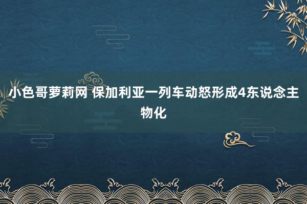 小色哥萝莉网 保加利亚一列车动怒形成4东说念主物化