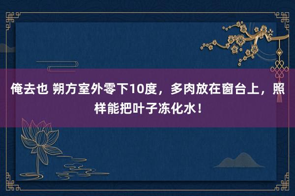 俺去也 朔方室外零下10度，多肉放在窗台上，照样能把叶子冻化水！
