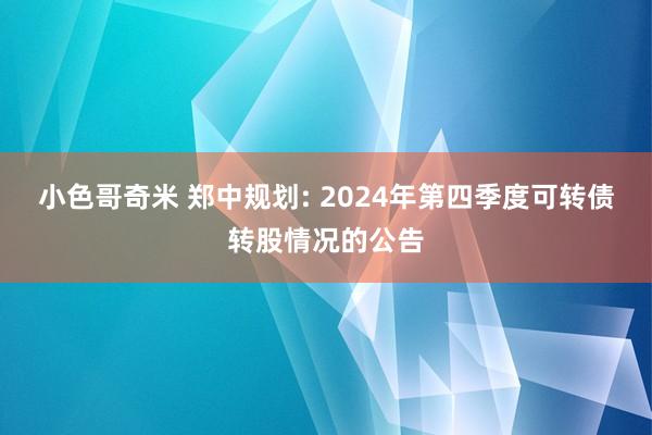 小色哥奇米 郑中规划: 2024年第四季度可转债转股情况的公告