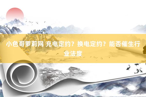 小色哥萝莉网 充电定约？换电定约？能否催生行业法度