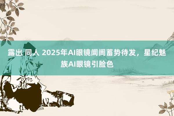 露出 同人 2025年AI眼镜阛阓蓄势待发，星纪魅族AI眼镜引脸色