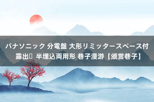 パナソニック 分電盤 大形リミッタースペース付 露出・半埋込両用形 巷子漫游【颁赏巷子】