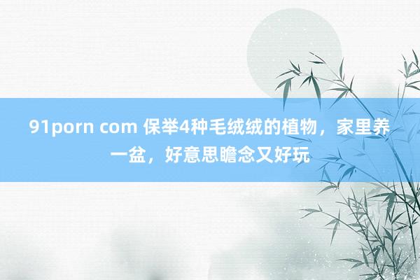 91porn com 保举4种毛绒绒的植物，家里养一盆，好意思瞻念又好玩