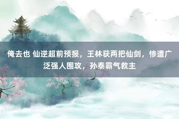 俺去也 仙逆超前预报，王林获两把仙剑，惨遭广泛强人围攻，孙泰霸气救主