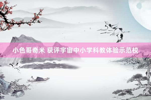 小色哥奇米 获评宇宙中小学科教体验示范校