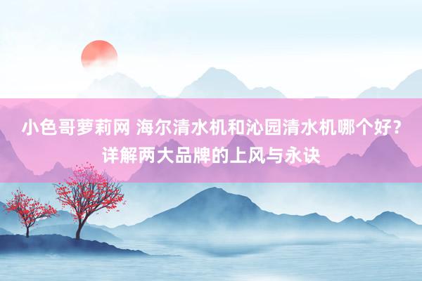 小色哥萝莉网 海尔清水机和沁园清水机哪个好？详解两大品牌的上风与永诀