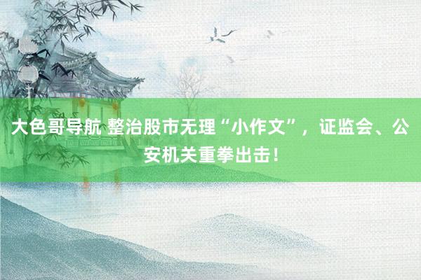 大色哥导航 整治股市无理“小作文”，证监会、公安机关重拳出击！