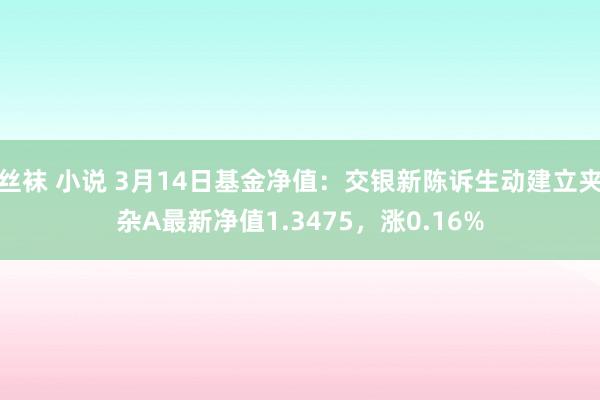 丝袜 小说 3月14日基金净值：交银新陈诉生动建立夹杂A最新净值1.3475，涨0.16%