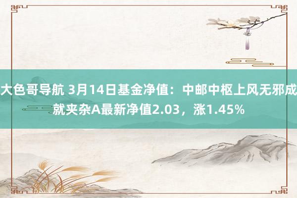 大色哥导航 3月14日基金净值：中邮中枢上风无邪成就夹杂A最新净值2.03，涨1.45%