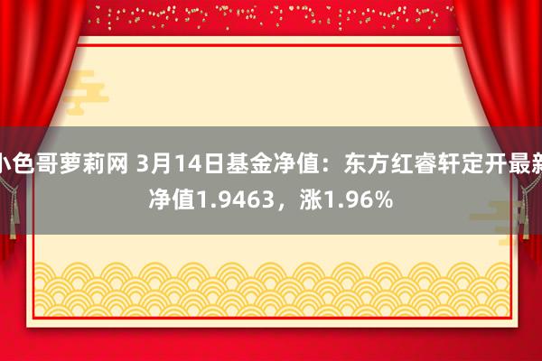 小色哥萝莉网 3月14日基金净值：东方红睿轩定开最新净值1.9463，涨1.96%