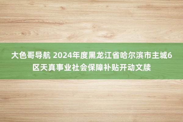 大色哥导航 2024年度黑龙江省哈尔滨市主城6区天真事业社会保障补贴开动文牍
