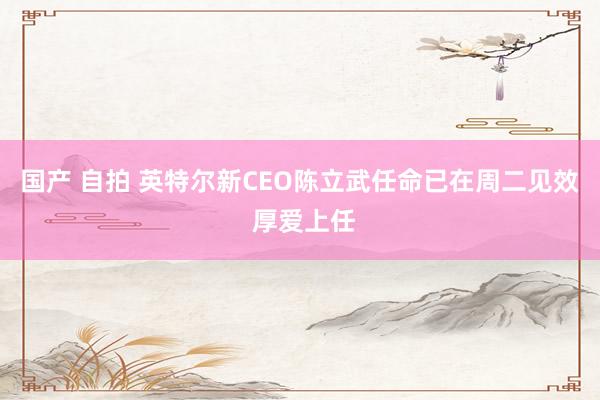 国产 自拍 英特尔新CEO陈立武任命已在周二见效 厚爱上任