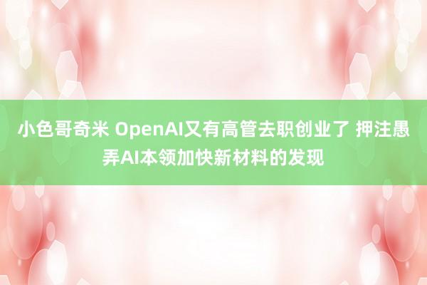 小色哥奇米 OpenAI又有高管去职创业了 押注愚弄AI本领加快新材料的发现